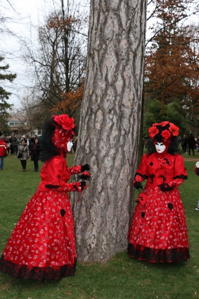 Francis MICHALOWSKI - Carnaval Vénitien Annecy 2016