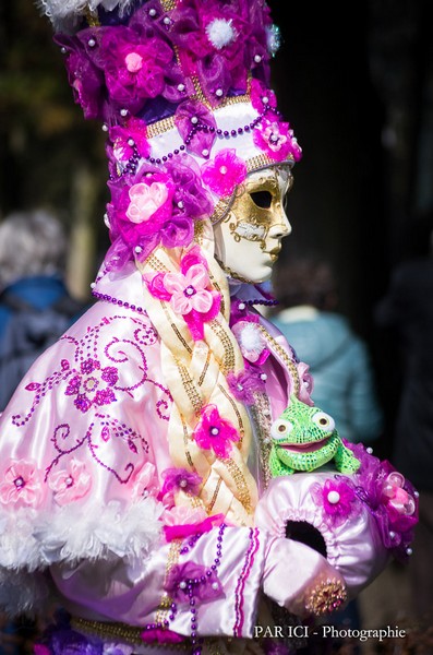 Jean-Michel GALLY - Carnaval Vénitien Annecy 2017 - 00018