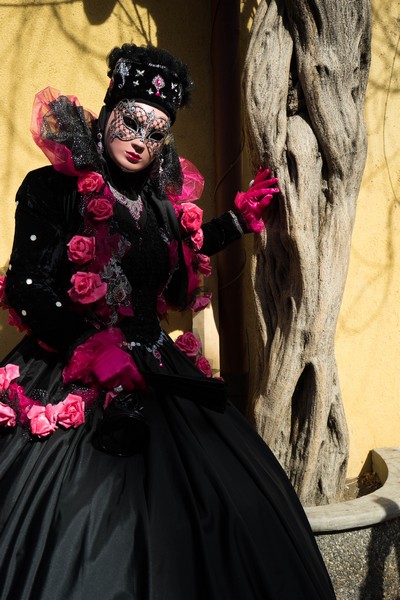 Joseph ESSEUL - Carnaval Vénitien Annecy 2017 - 00033