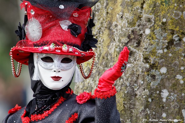 Matthieu MARTIN - Carnaval Vénitien Annecy 2017 - 00005