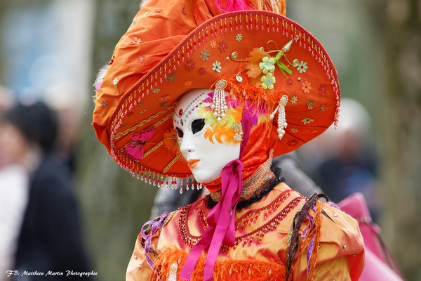 Matthieu MARTIN - Carnaval Vénitien Annecy 2017 - 00015