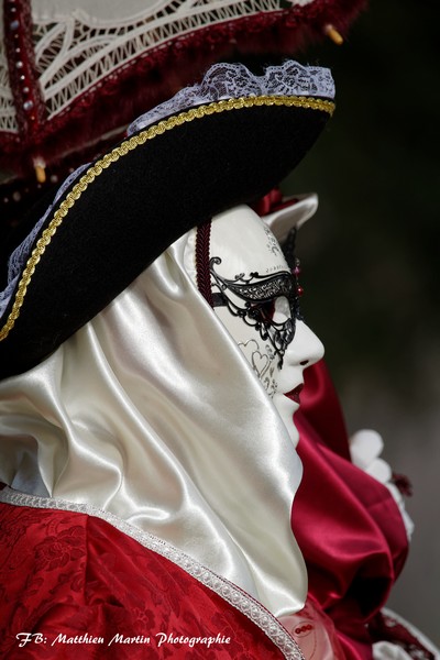 Matthieu MARTIN - Carnaval Vénitien Annecy 2017 - 00022