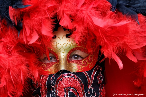 Matthieu MARTIN - Carnaval Vénitien Annecy 2017 - 00024