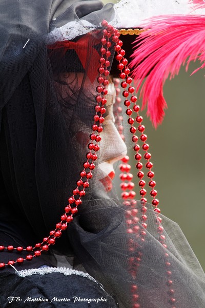 Matthieu MARTIN - Carnaval Vénitien Annecy 2017 - 00026