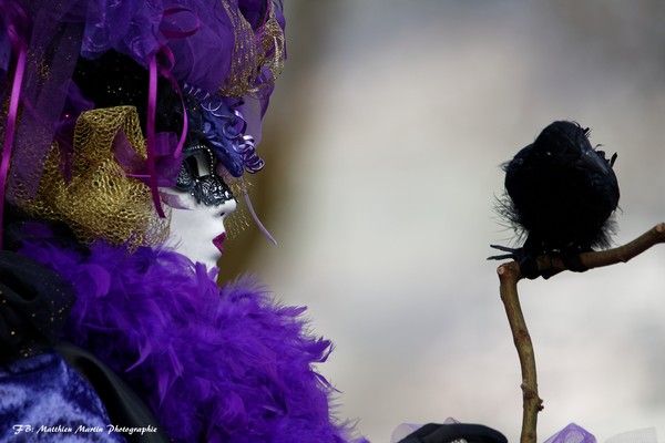 Matthieu MARTIN - Carnaval Vénitien Annecy 2017 - 00030