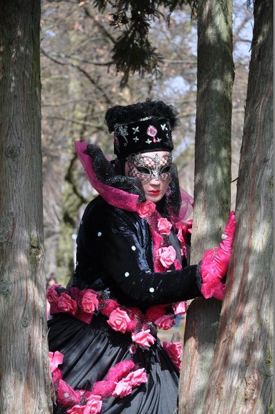 Michel LEFFONDRE - Carnaval Vénitien Annecy 2017 - 00013