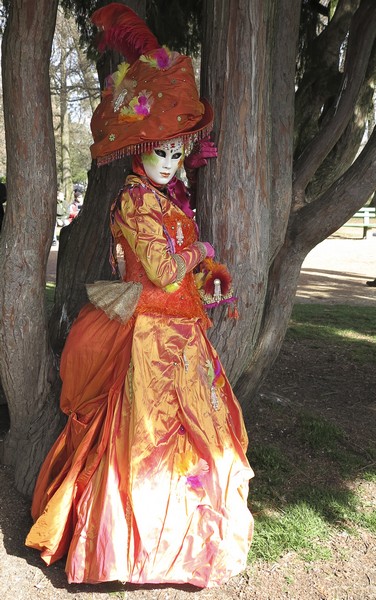 Michel RAYOT - Carnaval Vénitien Annecy 2017 - 00004