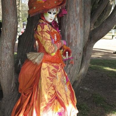 Michel RAYOT - Carnaval Vénitien Annecy 2017 - 00004