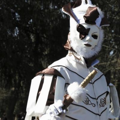 Michel RAYOT - Carnaval Vénitien Annecy 2017 - 00008