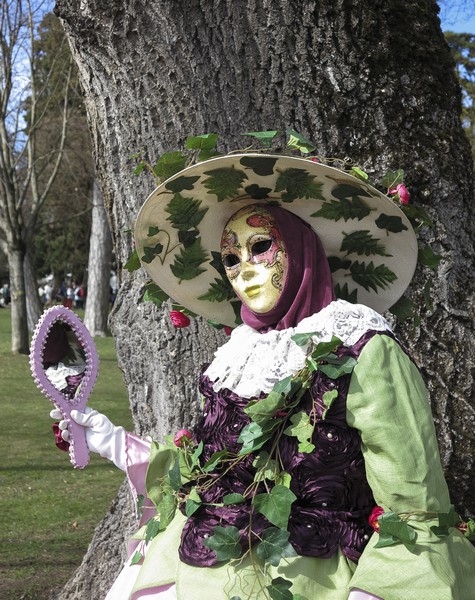 Michel RAYOT - Carnaval Vénitien Annecy 2017 - 00014