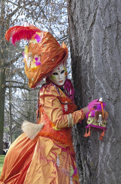 Michel RAYOT - Carnaval Vénitien Annecy 2017 - 00016