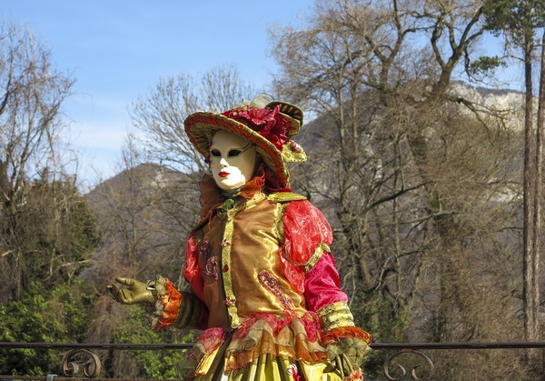 Michel RAYOT - Carnaval Vénitien Annecy 2017 - 00026