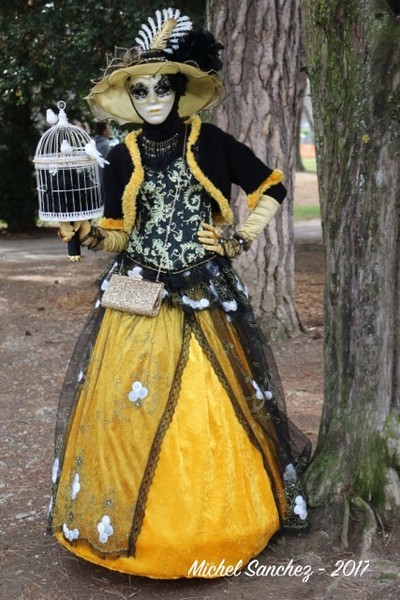 Michel SANCHEZ - Carnaval Vénitien Annecy 2017 - 00011