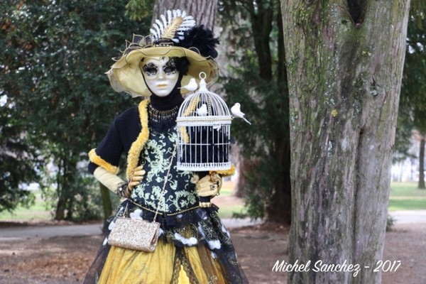 Michel SANCHEZ - Carnaval Vénitien Annecy 2017 - 00012