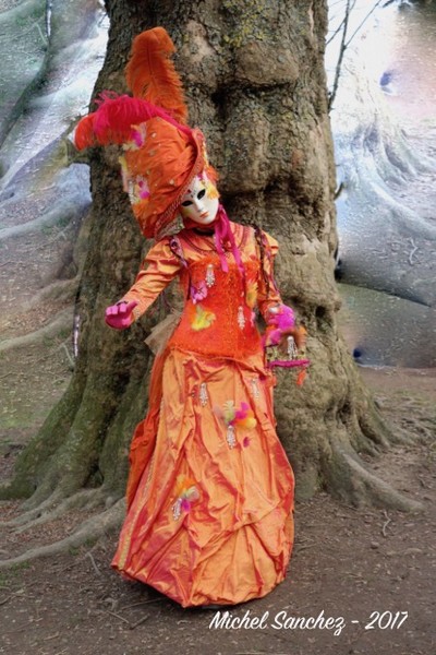 Michel SANCHEZ - Carnaval Vénitien Annecy 2017 - 00046