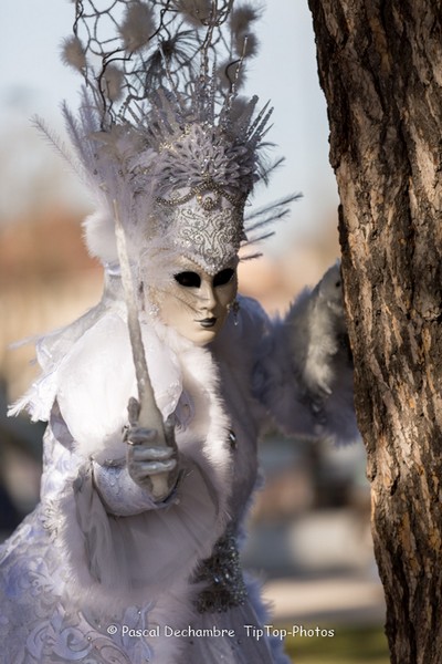 Pascal DECHAMBRE - Carnaval Vénitien Annecy 2017 - 00011