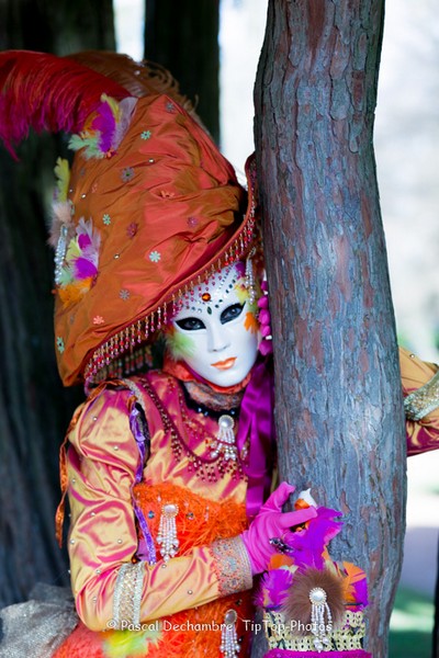 Pascal DECHAMBRE - Carnaval Vénitien Annecy 2017 - 00036