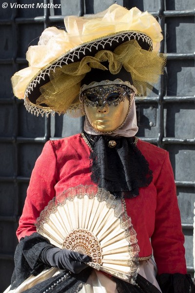 Vincent MATHEZ - Carnaval Vénitien Annecy 2017 - 00008