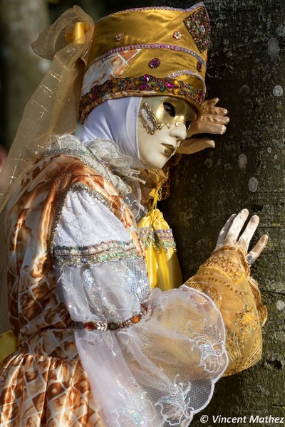 Vincent MATHEZ - Carnaval Vénitien Annecy 2017 - 00014