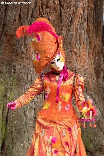 Vincent MATHEZ - Carnaval Vénitien Annecy 2017 - 00032