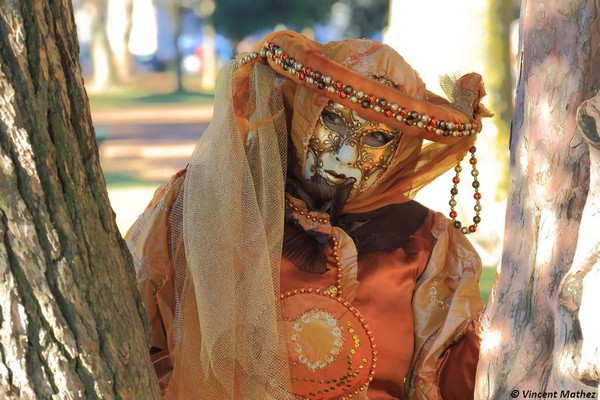 Vincent Mathez - Carnaval Vénitien Annecy 2016