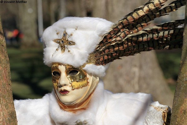 Vincent Mathez - Carnaval Vénitien Annecy 2016