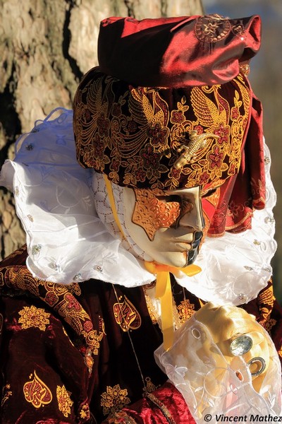 Vincent Mathez - Carnaval Vénitien Annecy 2016